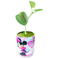 can plants can plants